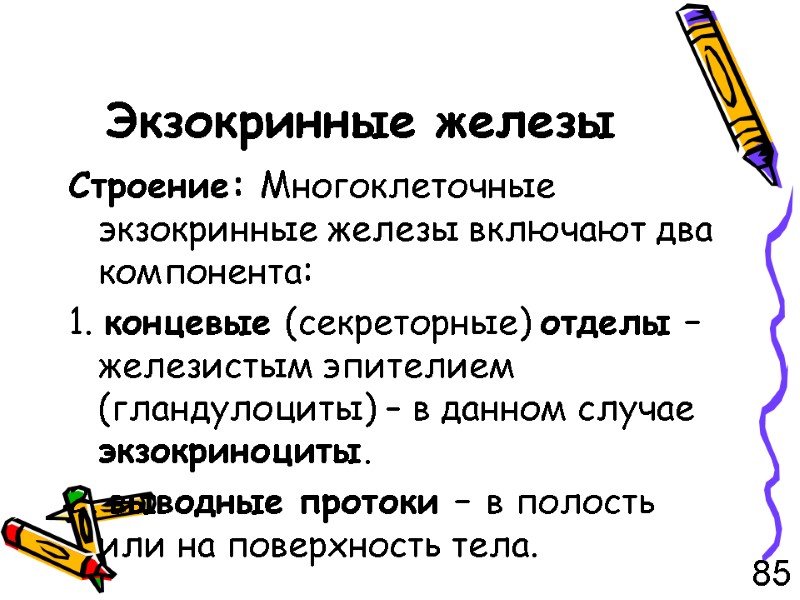 Экзокринные железы Строение: Многоклеточные экзокринные железы включают два компонента: 1. концевые (секреторные) отделы –